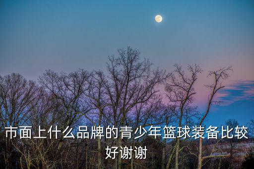 體育用品哪個(gè)牌子最好,愛(ài)發(fā)體育用品是什么牌子