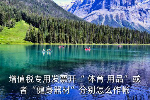 增值稅專用發(fā)票開(kāi)“ 體育 用品”或者“健身器材”分別怎么作帳