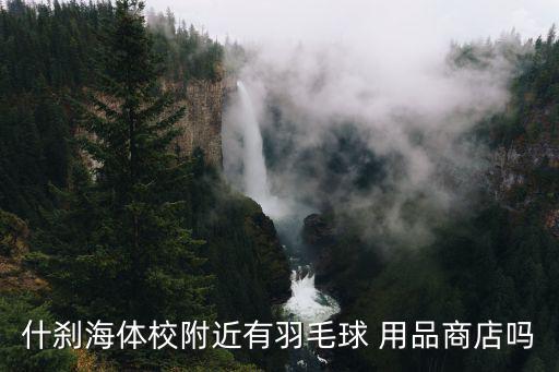 什剎海體校附近有羽毛球 用品商店嗎
