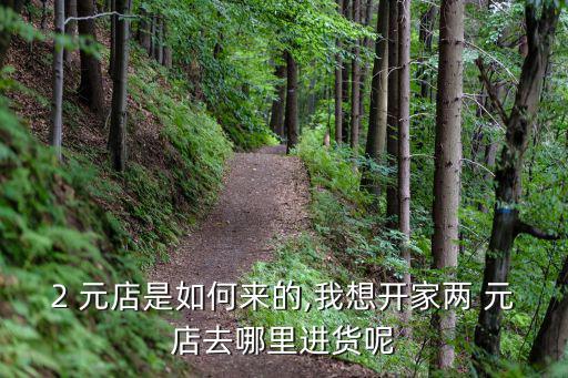 2 元店是如何來的,我想開家兩 元店去哪里進貨呢