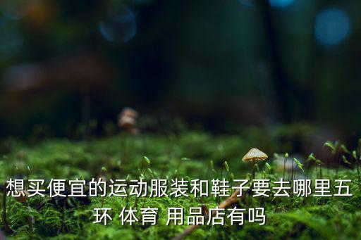 鄭州哪個體育用品店打折,鄭州最大的體育用品店