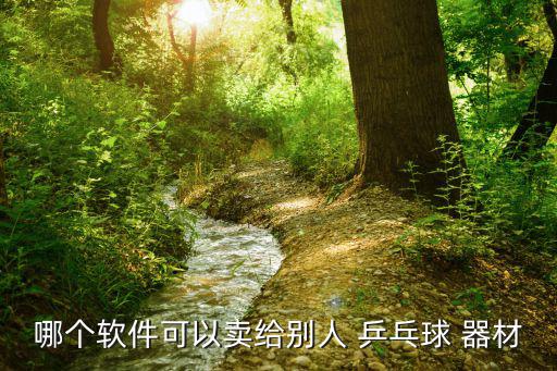 乒乓器材批發(fā)平臺,強制商品批發(fā)市場賣乒乓球拍底板批發(fā)去
