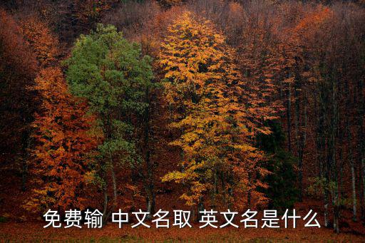 在線根據(jù)中文名取英文名,中文名諧音取英文名網(wǎng)站