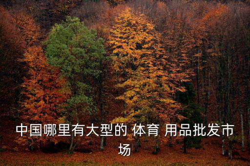 中國(guó)哪里有大型的 體育 用品批發(fā)市場(chǎng)