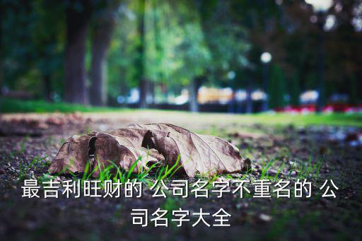 體育公司用什么名稱好一點