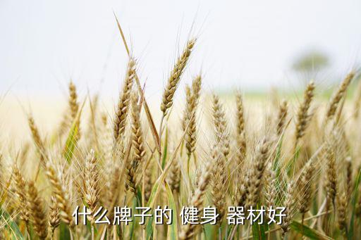 室外體育用品健身器材圖片,鞍山市體育用品健身器材商場(chǎng)