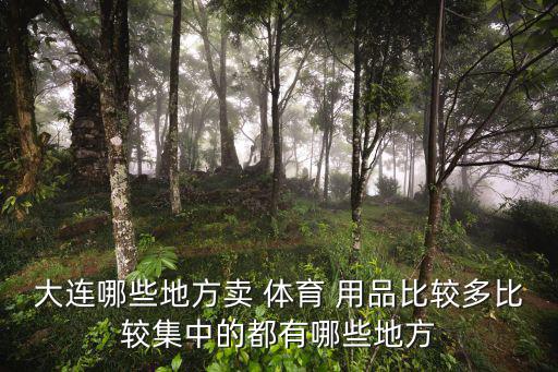 什么地方有賣(mài)體育用品的,大連體育用品專(zhuān)柜有哪些?