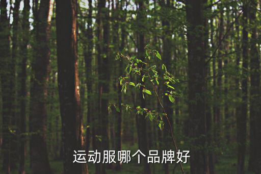 世界運(yùn)動(dòng)服十大名牌圖片,中國(guó)運(yùn)動(dòng)服十大名牌排行榜