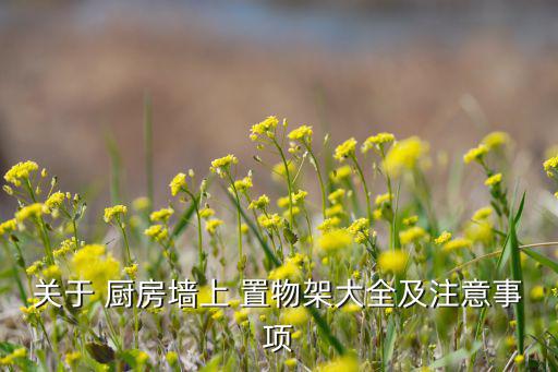 關(guān)于 廚房墻上 置物架大全及注意事項(xiàng)