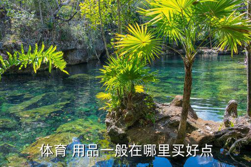  體育 用品一般在哪里買好點