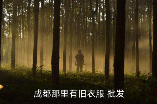  成都那里有舊衣服 批發(fā)