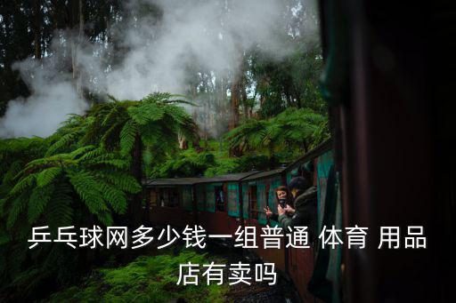 乒乓球網(wǎng)多少錢一組普通 體育 用品店有賣嗎