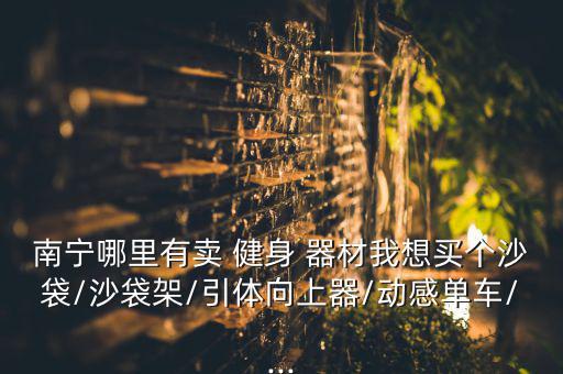 南寧哪里有賣(mài) 健身 器材我想買(mǎi)個(gè)沙袋/沙袋架/引體向上器/動(dòng)感單車(chē)/...
