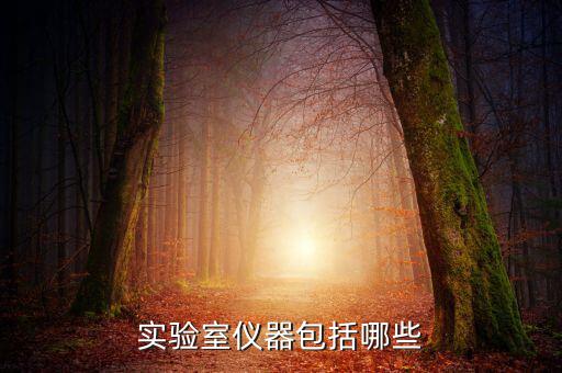 小學音樂器材名稱,音樂器材大全名稱圖片