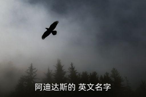 運動用品店的英文,體育用品店翻譯成英文