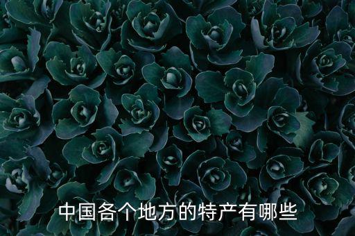 明水哪里有賣體育用品的