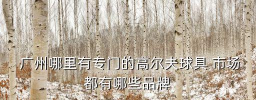  廣州哪里有專(zhuān)門(mén)的高爾夫球具 市場(chǎng)都有哪些品牌