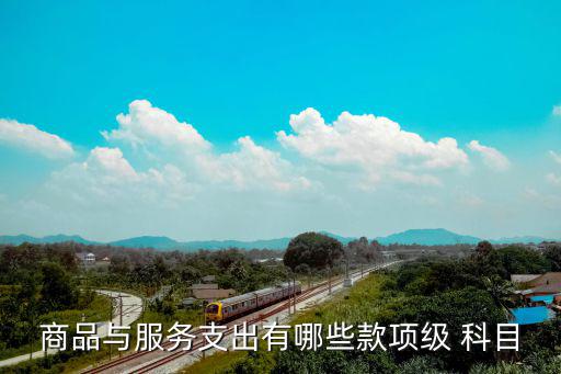 體育用品會(huì)計(jì)哪些科目,公司購(gòu)買的體育用品計(jì)入什么科目