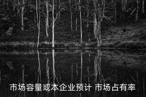 體育用品店預(yù)計市場占有率,商業(yè)計劃書預(yù)測市場占有率可這樣寫