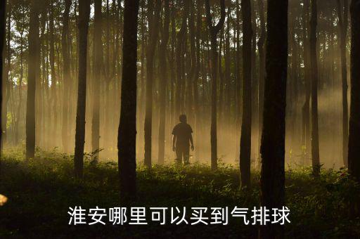 來賓市哪里買體育用品,體育用品店和超市有體排球和足球運動員