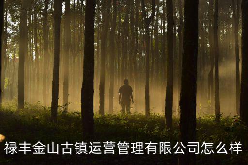 祿豐金山古鎮(zhèn)運(yùn)營管理有限公司怎么樣