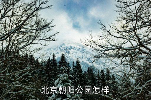 藍(lán)色港灣體育用品店怎么樣,欣欣體育用品店怎么樣