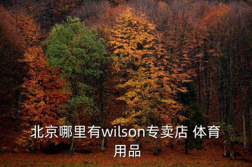 北京哪里有wilson專賣店 體育 用品