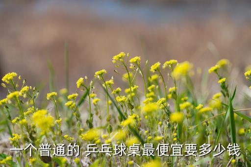 中國(guó)乒乓球桌生產(chǎn)廠價(jià)格