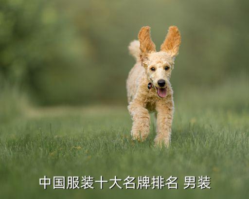 男裝大品牌排行榜,中國一線男裝10大品牌