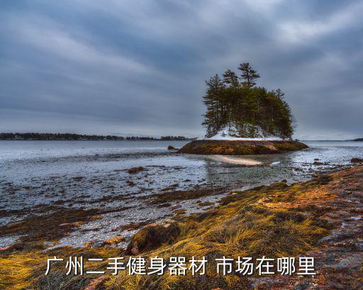 廣州二手健身器材 市場在哪里