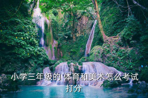  小學(xué)三年級(jí)的 體育和美術(shù)怎么考試打分