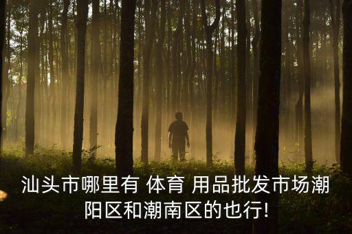 汕頭市哪里有 體育 用品批發(fā)市場潮陽區(qū)和潮南區(qū)的也行!