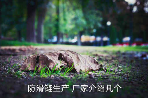  防滑鏈生產(chǎn) 廠家介紹幾個