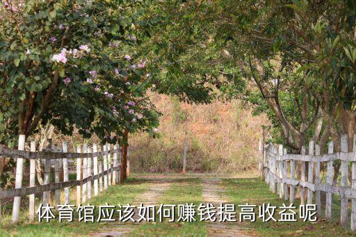 體育場館運營成功案例,游戲社群運營的成功案例