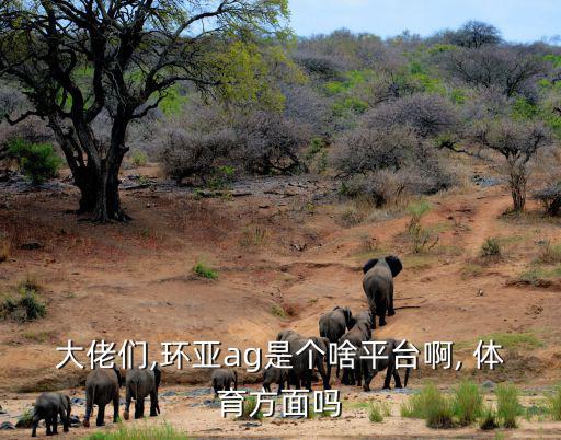 大佬們,環(huán)亞ag是個(gè)啥平臺(tái)啊, 體育方面嗎
