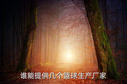誰能提供幾個籃球生產廠家