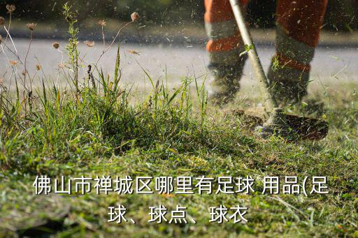  佛山市禪城區(qū)哪里有足球 用品(足球、球點(diǎn)、球衣