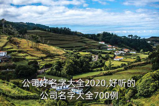  公司好名字大全2020,好聽的 公司名字大全700例