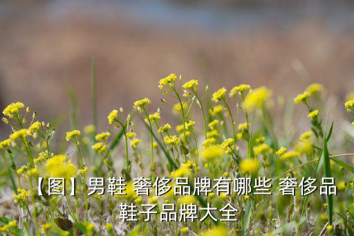 世界十大奢侈品牌鞋子排名前十,十大奢侈品牌鞋子標志圖片