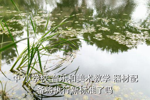 小學(xué)音樂需要的器材