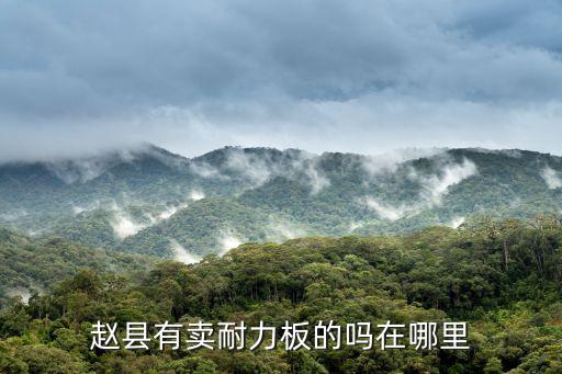趙縣有賣耐力板的嗎在哪里