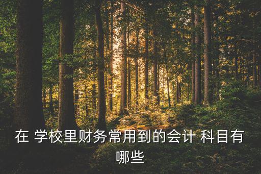 學(xué)校夠體育用品入什么科目,有什么體育用品,可以帶到學(xué)校