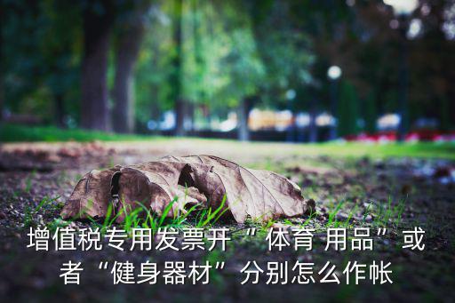 增值稅專用發(fā)票開“ 體育 用品”或者“健身器材”分別怎么作帳