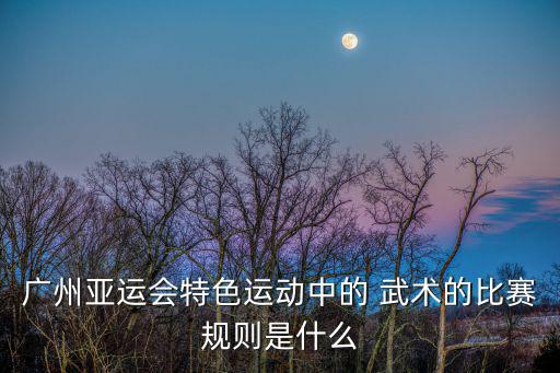 武術(shù)地毯標(biāo)準(zhǔn)規(guī)格,長(zhǎng)方形地毯的標(biāo)準(zhǔn)規(guī)格