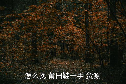 怎么找 莆田鞋一手 貨源