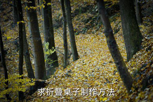 活動(dòng)折疊桌
