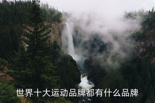 世界十大運動品牌都有什么品牌