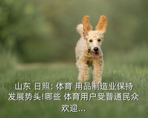 山東 日照: 體育 用品制造業(yè)保持發(fā)展勢頭!哪些 體育用戶受普通民眾歡迎...