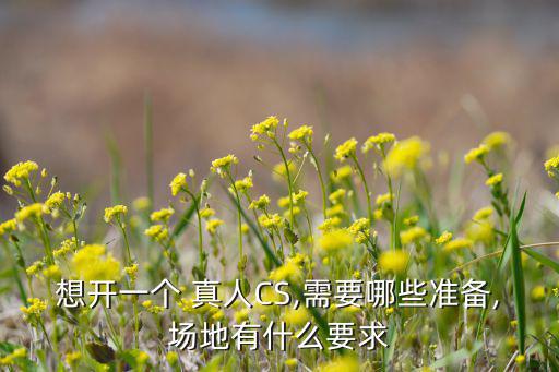 真人cs專(zhuān)用槍彩蛋槍