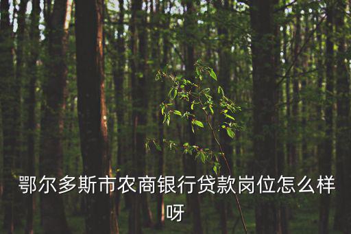 鄂爾多斯導(dǎo)購提成,鄂爾多斯羊絨衫可到南京找售后人員織補(bǔ)